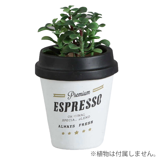 プランター 植木鉢 フラワーポット アンポルテ コーヒーカップ L