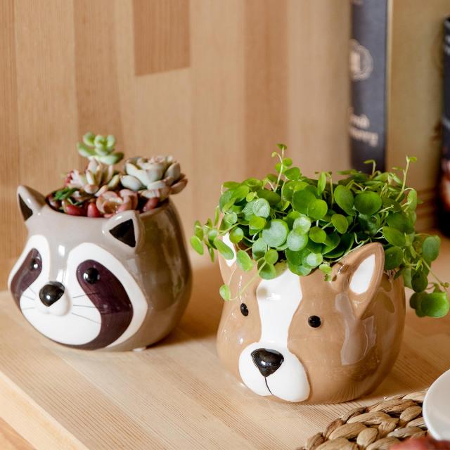 くまのプーさん 栽培キット 陶器 置物 ガーデニング インテリア【未