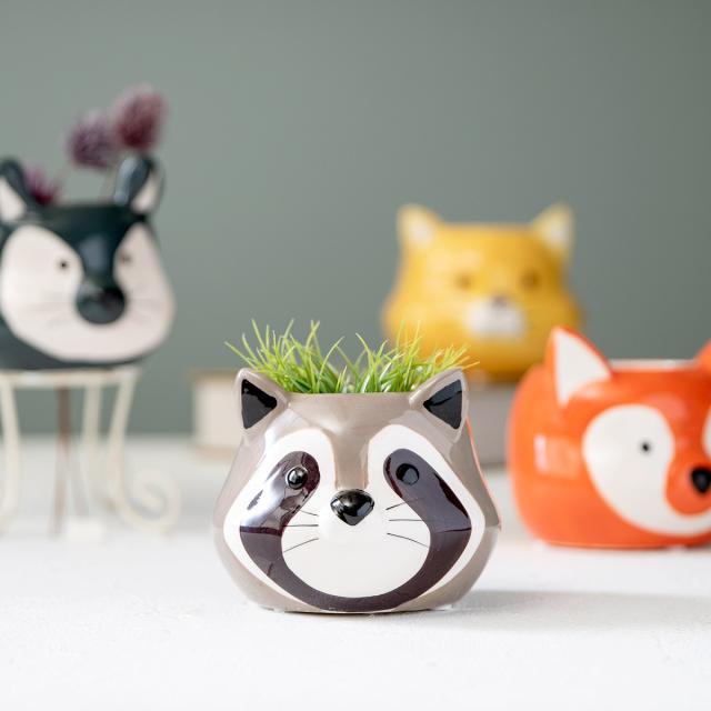 MUSUBI/青木むすび　顔 植木鉢 フラワーポット プランター 楽天市場】プランター アニマル ポット （ 植木鉢 プラント