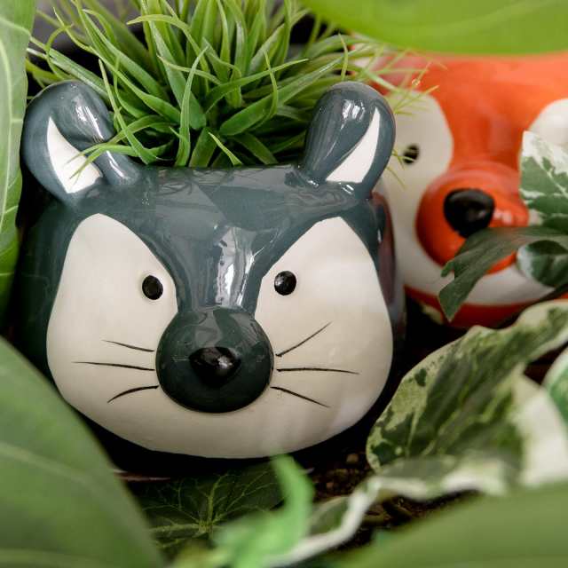 プランター アニマル ポット （ 植木鉢 プラントポット 陶器