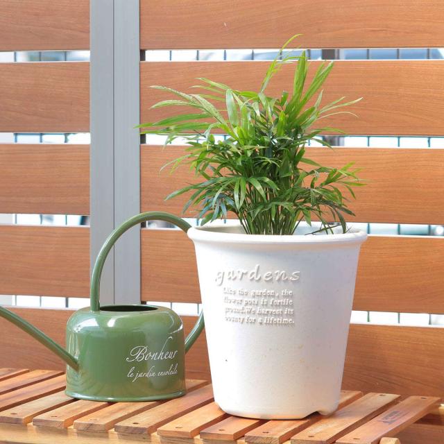 植木鉢（未使用品） 植木鉢 エコポット丸型 6号 古紙入 （ プランター プラント