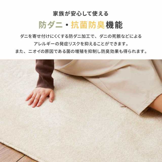 ラグ 環境にやさしいナイロン 国産高機能ラグ ララ 130×190cm （ カーペット 絨毯 マット ラグマット 長方形 1.5畳 日本製 エコ素材  オ｜au PAY マーケット