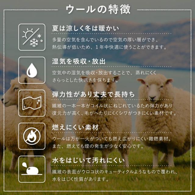 玄関マット 70×120 GABBEH 室内 （ マット ラグ 敷物 インテリア おしゃれ ウール100％ 幅120cm ギャベ ギャッベ ハンドメイド オールシーズン フリンジ付き リビング ソファ横 ベッドサイド ラグマット 玄関用 エントランス ）_4