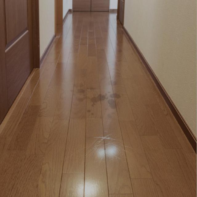 歩廊引っ敷き 廊下敷き ナタリア 約80×340 （ 引っ敷き つや消し 引っ敷き 上滑り打ちきり 引っ敷き 引っ敷き 歩廊 歩廊つや消し 引っ敷き 室内装飾 ロング すべり止め 花柄 お花 幼児用便器能力のある ロングラグ 通った跡つや消し ）