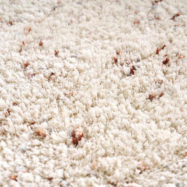 ミックスシャギーラグ Liva リーヴァ 約200×200cm （ ラグ カーペット 絨毯 マット 正方形 床暖対応 シャギーラグ 洗える ラグマット ホットカーペット 床暖 手洗い 滑り止め すべり止め じゅうたん おしゃれ ）