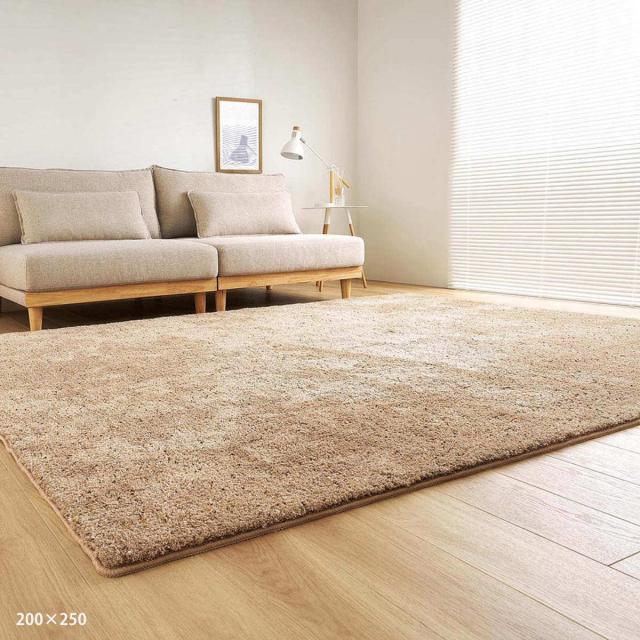 ミックスシャギーラグ Liva リーヴァ 約200×200cm （ ラグ カーペット 絨毯 マット 正方形 床暖対応 シャギーラグ 洗える ラグマット ホットカーペット 床暖 手洗い 滑り止め すべり止め じゅうたん おしゃれ ）