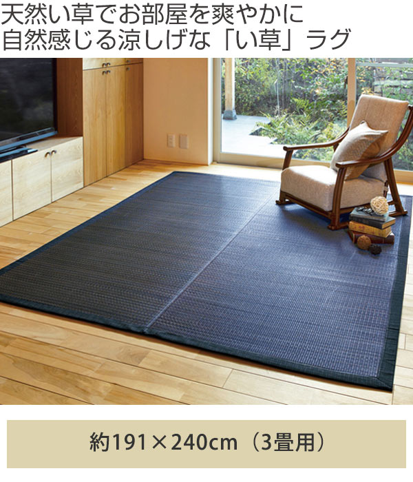 畳 い草 センターラグ 南風 191×240cm 3畳 裏貼有 （ ラグ マット 上敷き フローリング畳 置き畳 い草マット い草カーペット フロア畳 防音 和風 敷物 抗カビ 湿気対策 ）_1