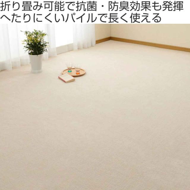 カーペット ラグ 江戸間4.5畳 平織カーペット ミーテ 抗菌 防臭 カット可 （ 261×261cm ラグマット 江戸間 4.5帖 日本製 マット カットできる 敷き詰め タフトカーペット 平織り 床暖対応 ペット ）_1