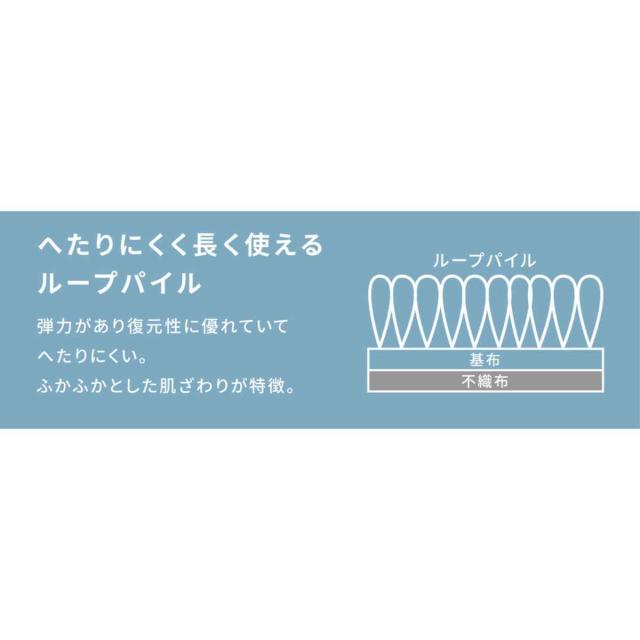 カーペット ラグ 江戸間4.5畳 平織カーペット ミーテ 抗菌 防臭 カット可 （ 261×261cm ラグマット 江戸間 4.5帖 日本製 マット カットできる 敷き詰め タフトカーペット 平織り 床暖対応 ペット ）_5
