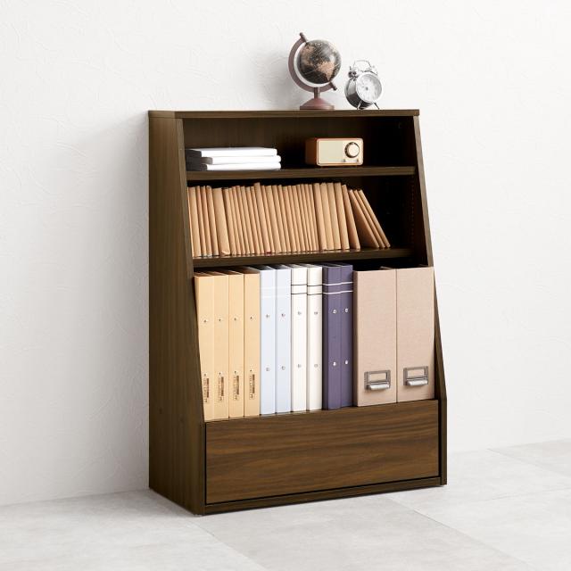 1cmピッチ可動 本棚 幅60cm ロータイプ 可動棚2枚 引出し付 （ ラック