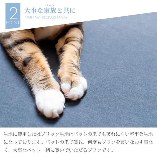 ソファ 2人掛け ポケットコイル サイドテーブル付 （ ソファー リビングソファ 背もたれ クッション 取り外し 折りたたみテーブル 座面 広い ソファベッド カバーリング 撥水 脚付き 木製 天然木 ファブリック 傷に強い ）_8