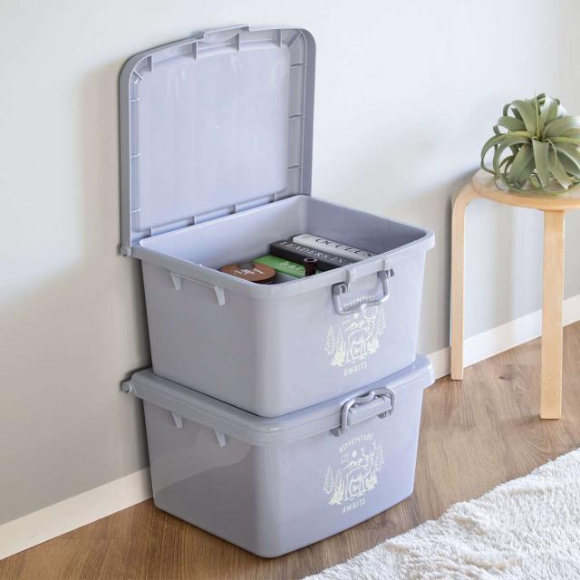 収納ケース フリーボックスL （ 収納ボックス 収納 ボックス フタ付き