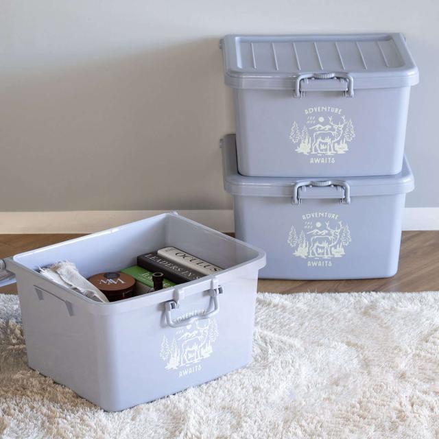 収納ケース フリーボックスL 3個セット （ 収納ボックス 収納 ボックス