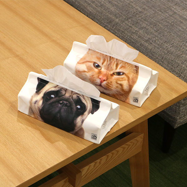 ティッシュケース アニマルフェイス tente ねこ 犬 吊り下げ