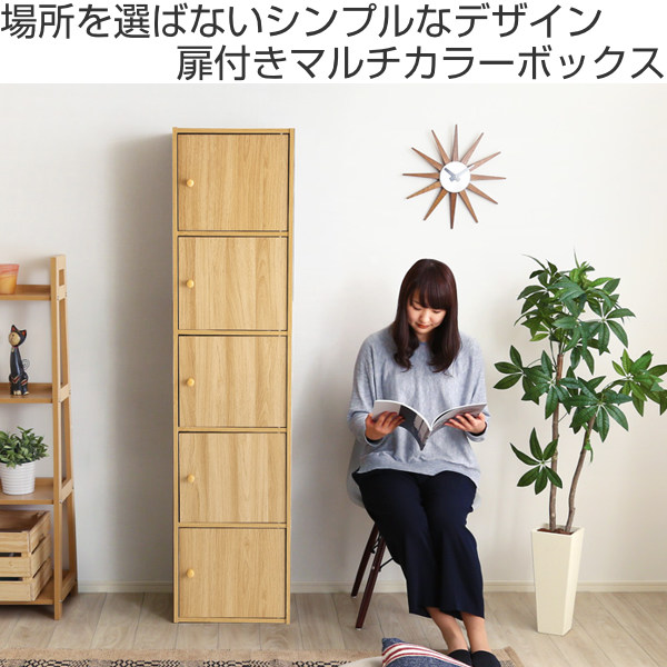 カラーボックス 幅41cm 5枚扉 5段 ブックシェルフ A4対応 （ 本棚 キャビネット ラック シェルフ ブックラック 収納キャビネット 扉付き 収納ラック 収納棚 収納 棚 すき間 隙間 ナチュラル ブラウン 茶色 白 おしゃれ ）