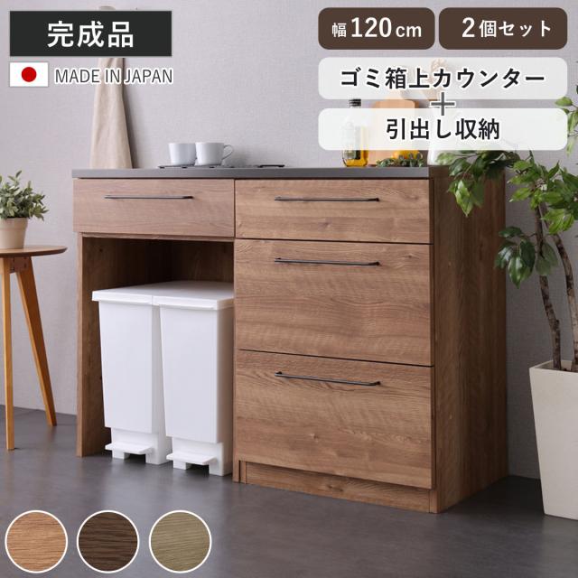 御厨子所カウンタ 幅120糎 用だんす 紙くずかご上仕合わせ 日本製 為し遂げる品 （ カウンタ 御厨子所 納める 組みあわせ 3段 一種独特鋼板 御厨子所納める ルゴ 2台仕かける 食器棚 フルスライドレール 自然的 ウォール中毒者 ）