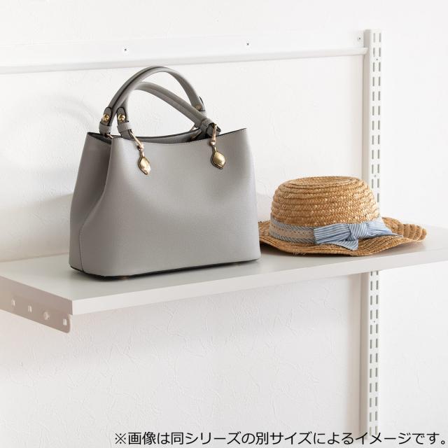 壁面収納 棚 幅45cm 奥行45cm フィットラック TSセット （ 棚板