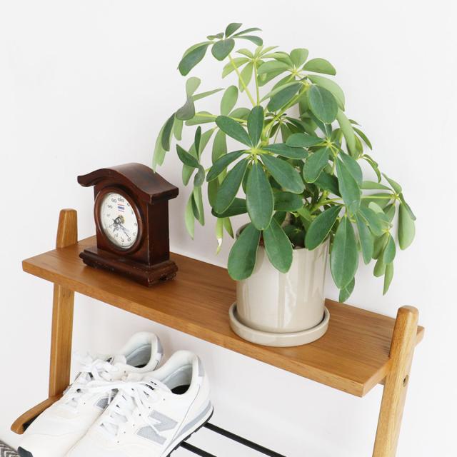 シューズラック Shoes Rack 木製 省スペース （ 靴 収納 ラック 下駄箱