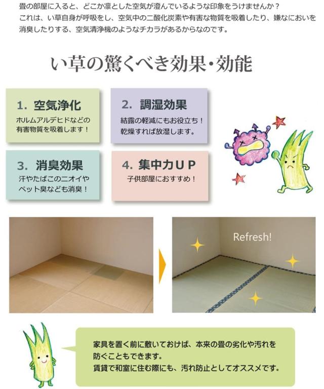 い草 カーペット 国産 上敷き 双目織 ほほえみ 三六間 中京間 8畳 約364×364cm （ マット い草マット い草カーペット い草上敷き 絨毯 畳カバー 中京 正方形 畳める コンパクト リバーシブル 国産い草 空気清浄 防臭 抗菌 ）_10