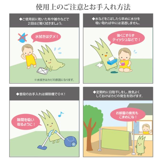 い草 カーペット 国産 上敷き 双目織 ほほえみ 三六間 中京間 8畳 約364×364cm （ マット い草マット い草カーペット い草上敷き 絨毯 畳カバー 中京 正方形 畳める コンパクト リバーシブル 国産い草 空気清浄 防臭 抗菌 ）_14