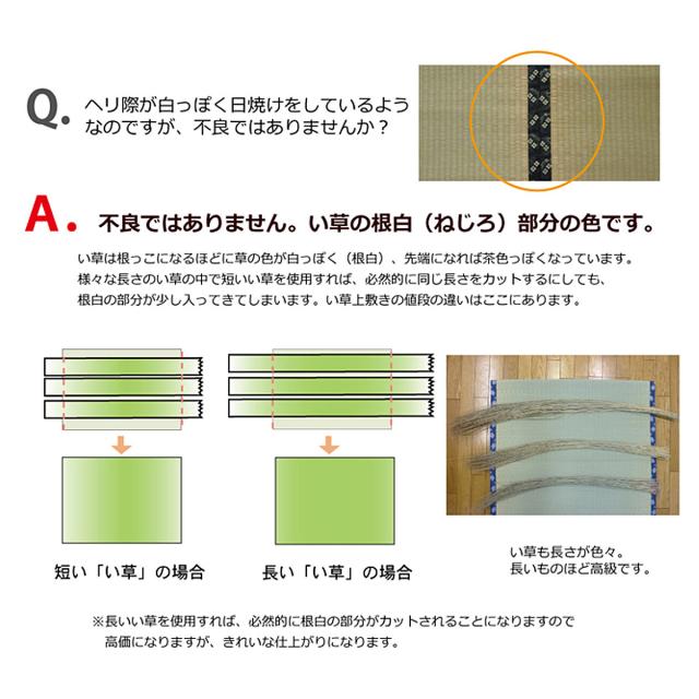 い草 カーペット 国産 上敷き 双目織 ほほえみ 三六間 中京間 8畳 約364×364cm （ マット い草マット い草カーペット い草上敷き 絨毯 畳カバー 中京 正方形 畳める コンパクト リバーシブル 国産い草 空気清浄 防臭 抗菌 ）_16