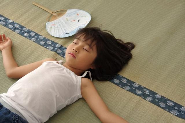 い草 カーペット 国産 上敷き 双目織 ほほえみ 三六間 中京間 8畳 約364×364cm （ マット い草マット い草カーペット い草上敷き 絨毯 畳カバー 中京 正方形 畳める コンパクト リバーシブル 国産い草 空気清浄 防臭 抗菌 ）_4