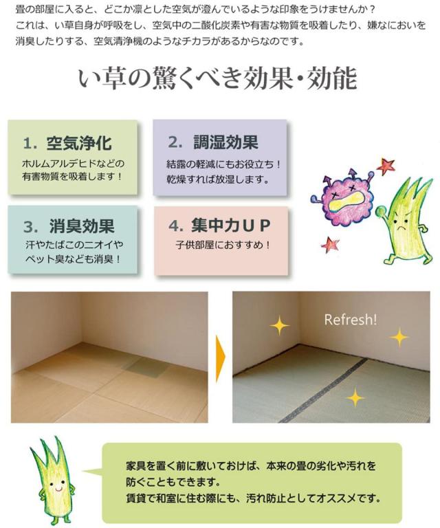 い草上敷き 純国産 い草 カーペット 糸引織 湯沢 団地間4.5畳 約255×255cm （ マット い草マット い草カーペット 絨毯 畳カバー ござ 畳表 五六間 団地 正方形 畳める コンパクト リバーシブル 国産い草 空気清浄 防臭 抗菌 ）_10