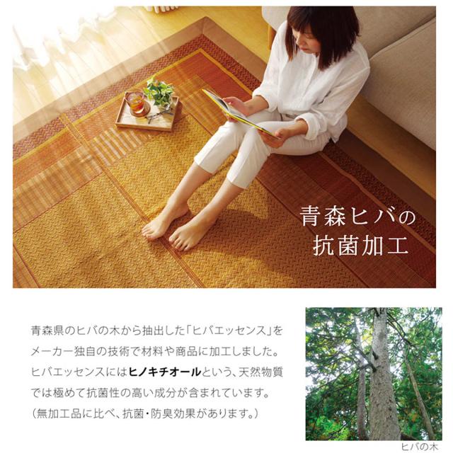 ござ 純国産 い草花ござカーペット ランクス総色 江戸間4.5畳 約261×261cm （ 敷物 ラグ マット い草マット い草カーペット 絨毯 花ござ 茣蓙 江戸間 4.5畳 正方形 畳める コンパクト 国産い草 天然素材 空気清浄 消臭 抗菌 細ヘリ ）_8