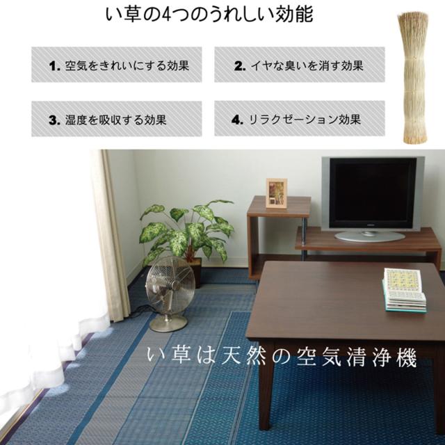 ござ 純国産 い草花ござカーペット ランクス総色 江戸間8畳 約348×352cm （ 敷物 ラグ マット い草マット い草カーペット 絨毯 花ござ 茣蓙 江戸間 8畳 長方形 畳める コンパクト 国産い草 天然素材 空気清浄 消臭 抗菌 細ヘリ ）_9