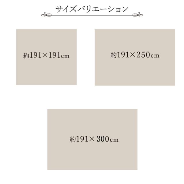 い草上敷き 純国産 袋織 い草ラグカーペット DX京刺子 約191×300cm 裏貼りあり （ 敷物 ラグ マット い草マット い草カーペット い草 絨毯 ござ 茣蓙 長方形 畳める コンパクト 国産い草 天然素材 空気清浄 消臭 抗菌 上敷き ）_3