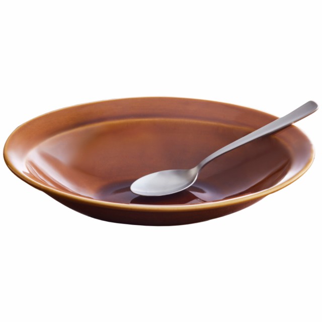 カレー皿 スプーンセット 25cm 逸品窯 陶磁器 （ 食洗機対応