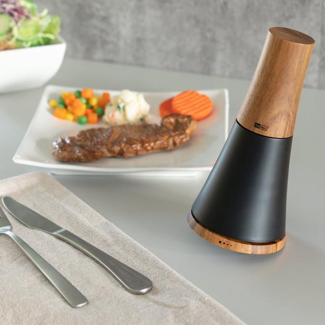 スパイスミル ソルト＆ペッパーミル SPIN AdHoc （ 手動 粗さ調節 塩