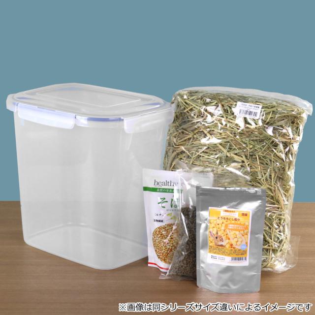 保存容器 3L SLジャンボケース 抗菌 （ 密閉 4面ロック プラスチック