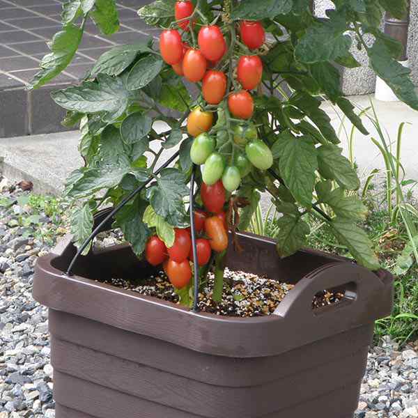 プランター ハンディプランター 樽型 3個セット （ 植木鉢 鉢 園芸用品