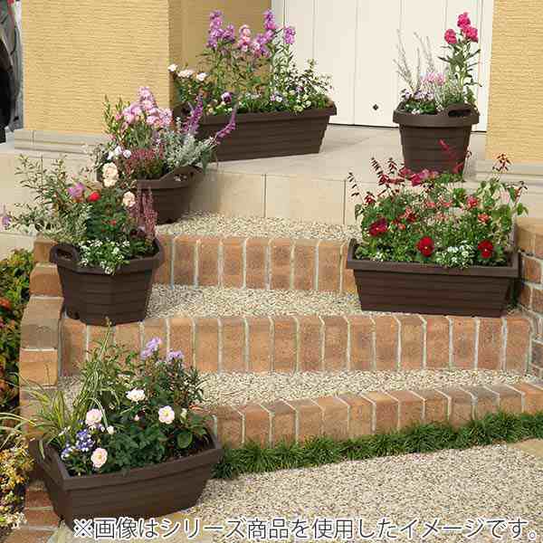 鉢　園芸用品　ガーデン　ガーデニング　植木鉢　植物