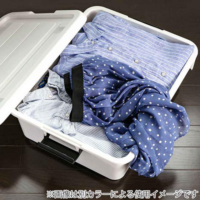 衣装ケース クローゼット 収納ケース コロモ 幅38.5×奥行50×高さ