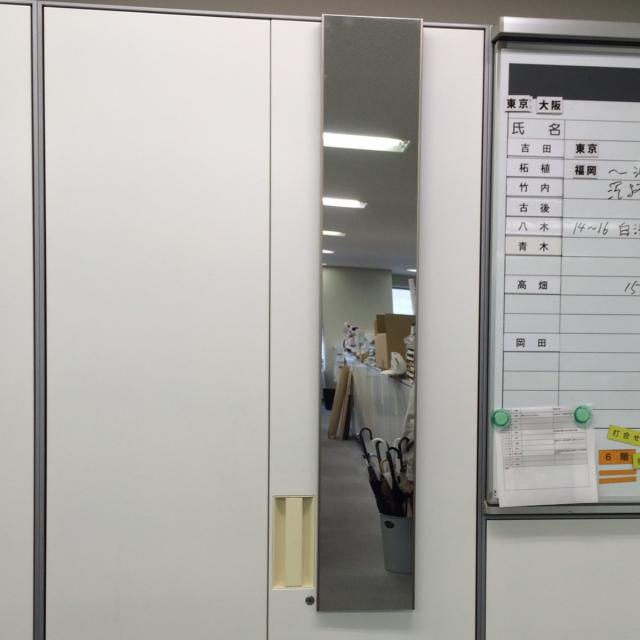 【新品】姿見 リフェクス 割れない軽量ミラー　45×120cm 割れない鏡 リフェクスミラー マグネットタイプ 姿見 45×120cm