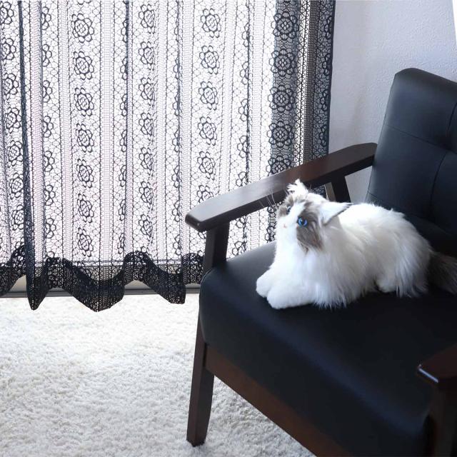 レースカーテン ブラックレース 130×176〜228cm 2枚組 （ カーテン