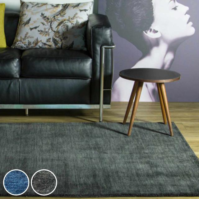 インテリアマット ラグマット 手織り ギャッベ ルリプレーン LORI PLAIN 50×80cm ホットカーペット対応 （ ラグ カーペット 絨毯 じゅうたん 長方形 マット 床暖 床暖房 アクセントラグ 耐久性 ハンドメイド ギャベ ）の通販は