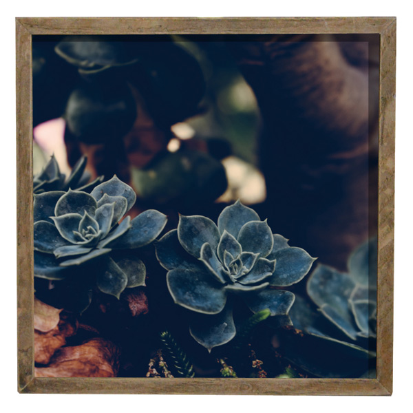 ディスプレイボックス Led プランツ インテリア ライト 雑貨 おしゃれ アートボード アートパネル Ledピクチャーフレーム 電飾ボード の通販はau Pay マーケット リビングート