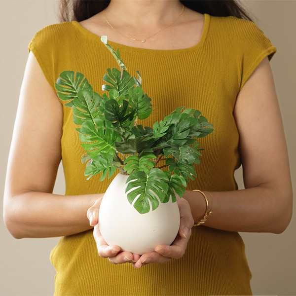 人工観葉植物 モンステラ 19cm フェイクグリーン 造花 光触媒 （ ミニ 卓上 人工植物 フェイク アートグリーン 触媒加工 抗菌 消臭 緑  グの通販はau PAY マーケット - お弁当グッズのカラフルBOX