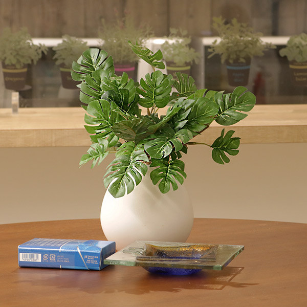 人工観葉植物 モンステラ 19cm フェイクグリーン 造花 光触媒