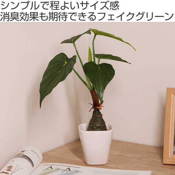 人工観葉植物 アロカシア 30cm フェイクグリーン 造花 光触媒 （ ミニ 卓上 人工植物 フェイク アートグリーン 触媒加工 抗菌 消臭 緑  グ｜au PAY マーケット