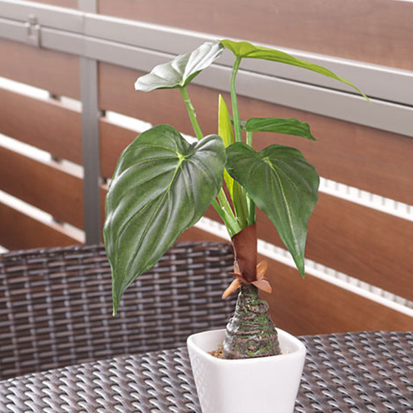 人工観葉植物 アロカシア 30cm フェイクグリーン 造花 光触媒 （ ミニ
