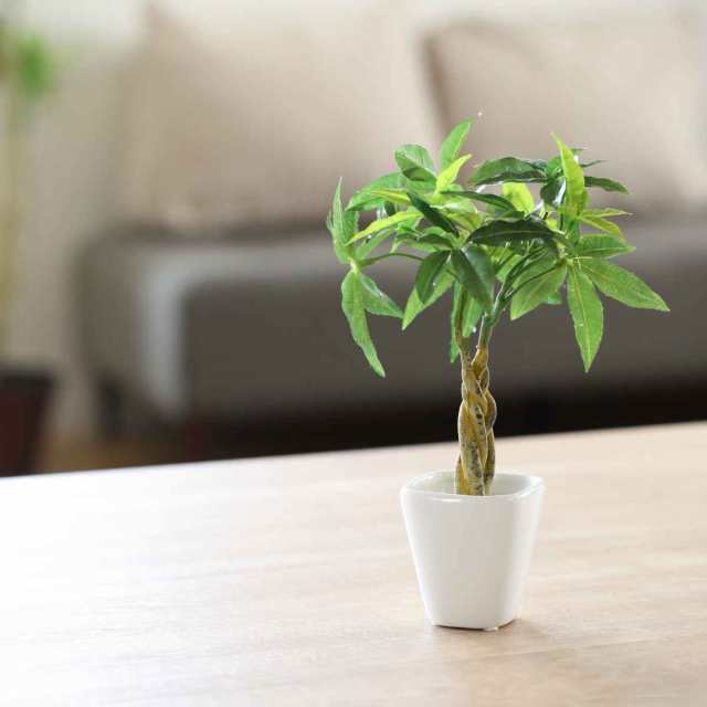 人工観葉植物 パキラ 27cm 観葉植物 造花 光触媒 ( ミニ 卓上 人工観葉植物 パキラ 27cm 観葉植物 造花 光触媒 ( ミニ 卓上