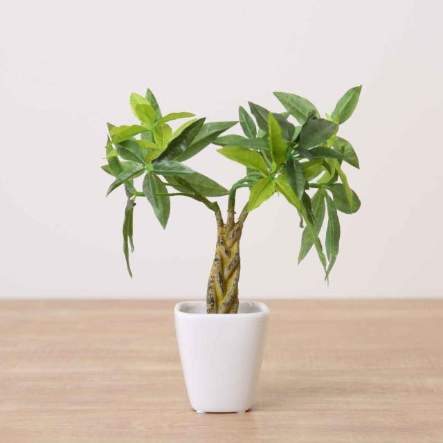 人工観葉植物 パキラ 27cm 観葉植物 造花 光触媒 （ ミニ 卓上
