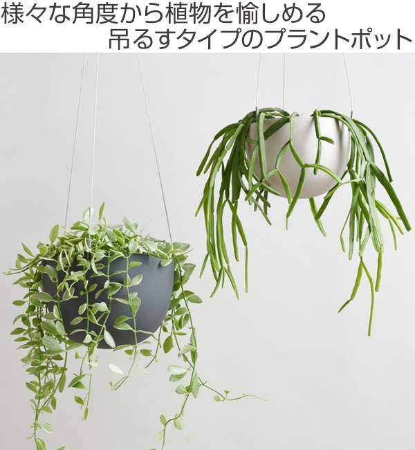 プランター プラントポット キントー Kinto 14cm ベージュ ハンギングプランター 吊り鉢 プラントハンガー 植木鉢 壁掛け 吊るす 吊りの通販はau Pay マーケット お弁当グッズのカラフルbox