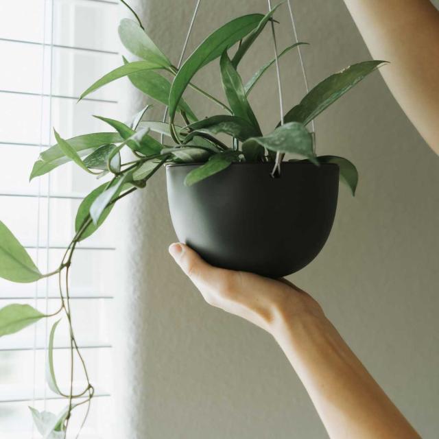 鉢・プランター KEI 楽天市場】KINTO キントー プラントポット 201_ 140mm （ 植木鉢
