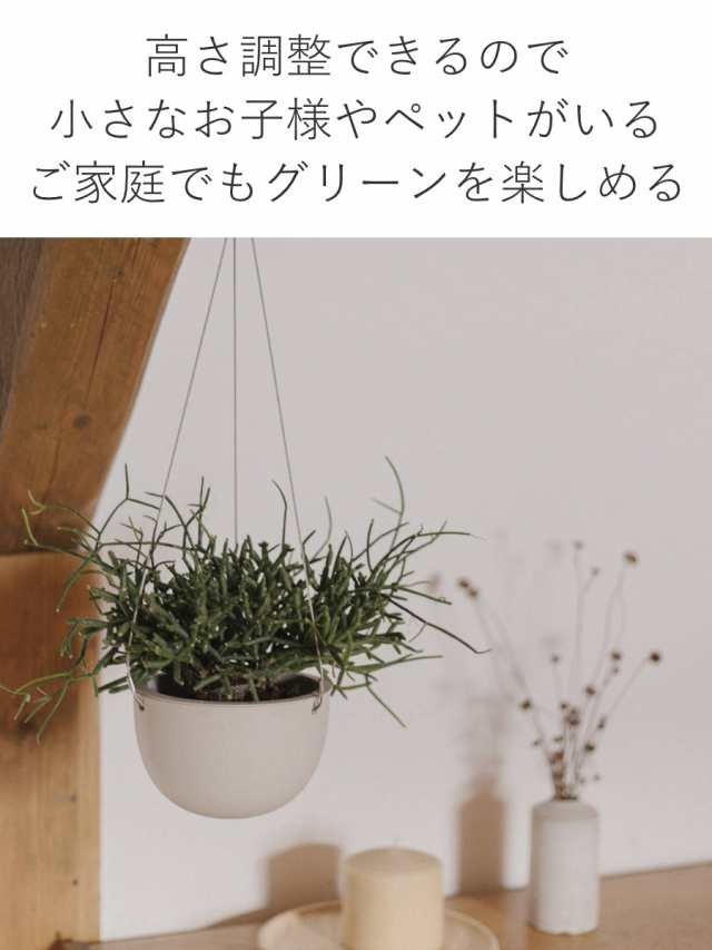 壁掛け ハンギング プランター 越前焼 陶器 鉢 観葉植物 素焼