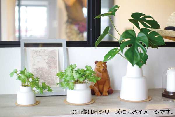 フェイクグリーン ドウダンツツジ L 人工観葉植物 エクリア （ 卓上